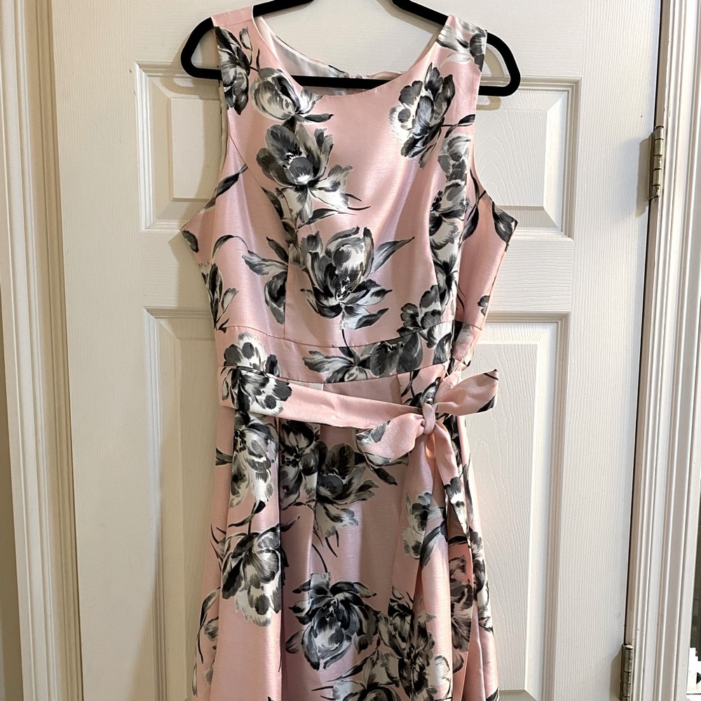 Sassy Pink dress